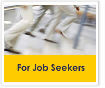 For Job Seekers